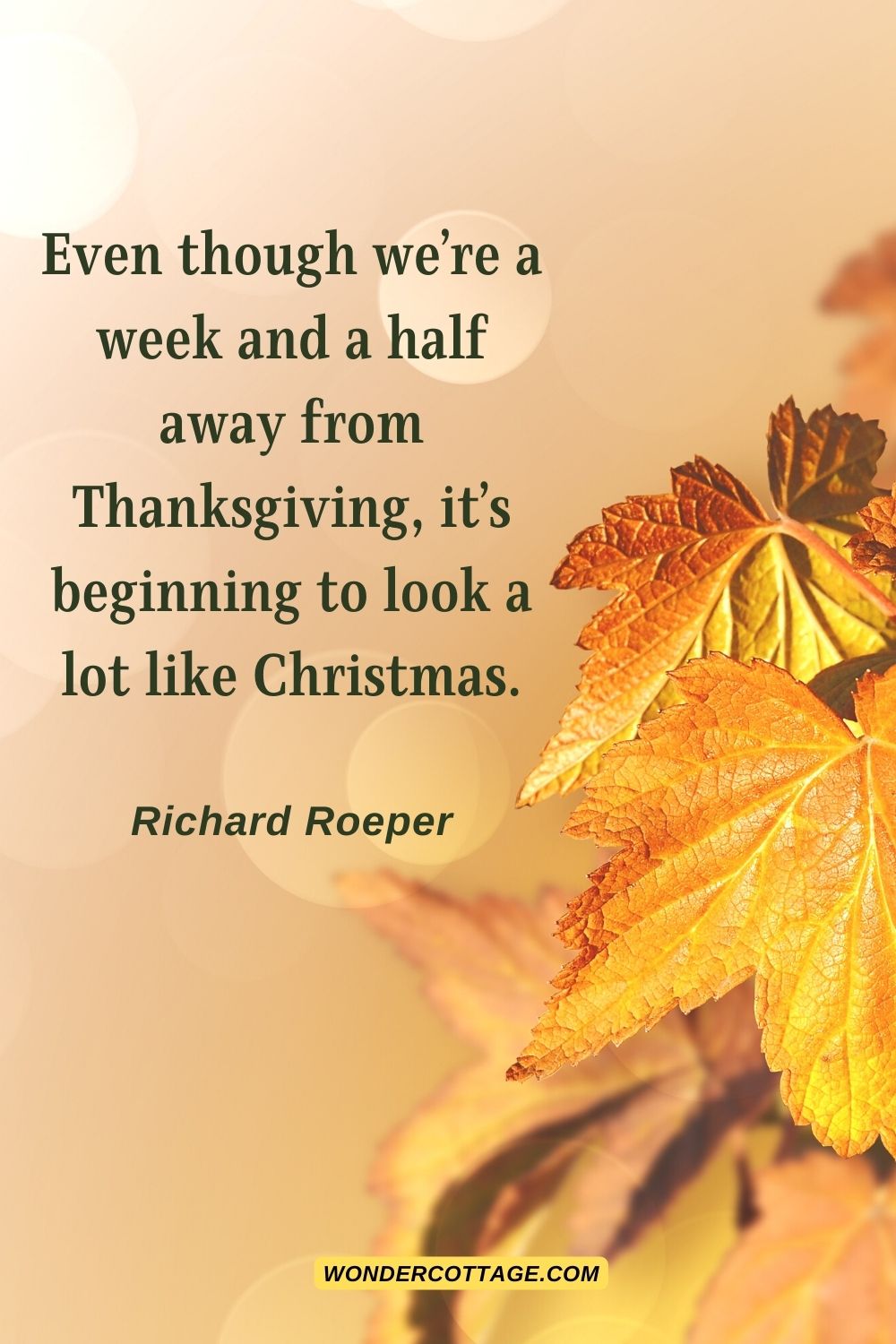 Even though we’re a week and a half away from Thanksgiving, it’s beginning to look a lot like Christmas. Richard Roeper