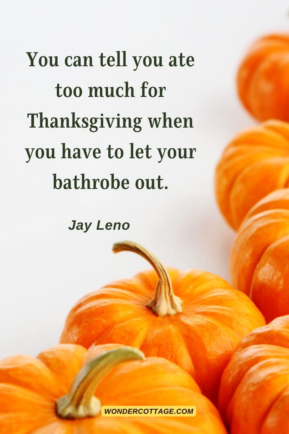 You can tell you ate too much for Thanksgiving when you have to let your bathrobe out. Jay Leno