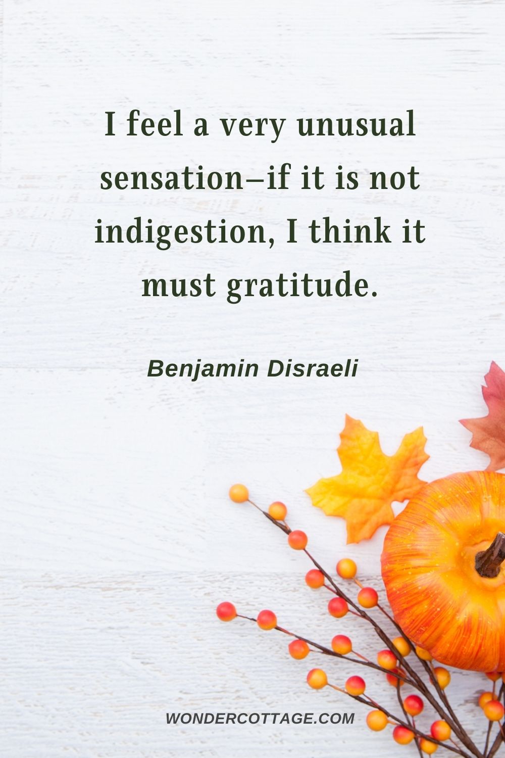 I feel a very unusual sensation—if it is not indigestion, I think it must gratitude. Benjamin Disraeli