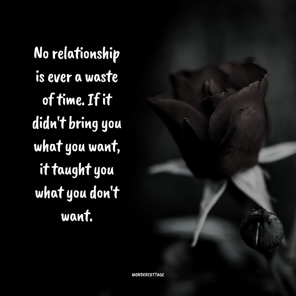 No relationship is ever a waste of time. If it didn't bring you what you want, it taught you what you don't want.
Unknown
