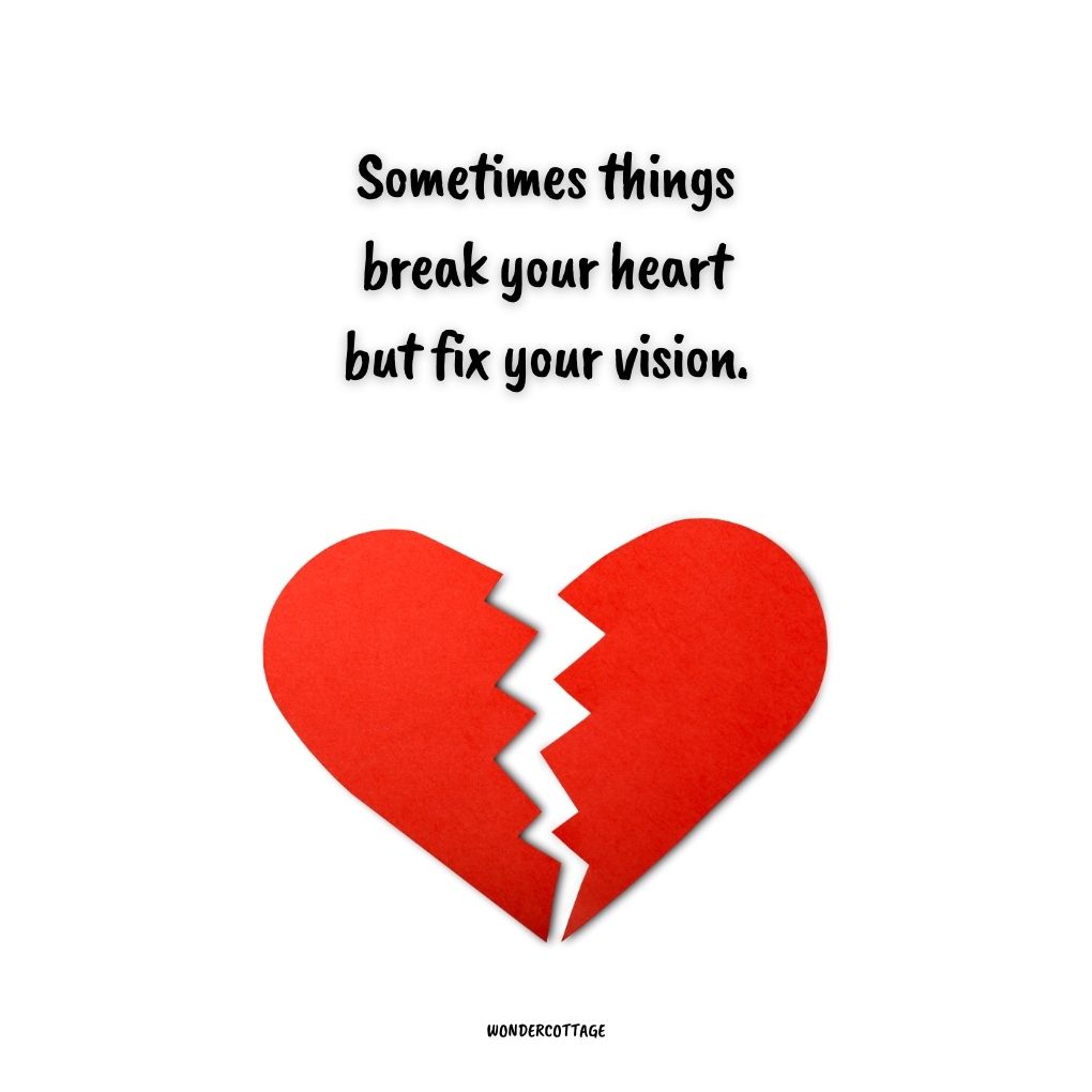 Sometimes things break your heart but fix your vision.