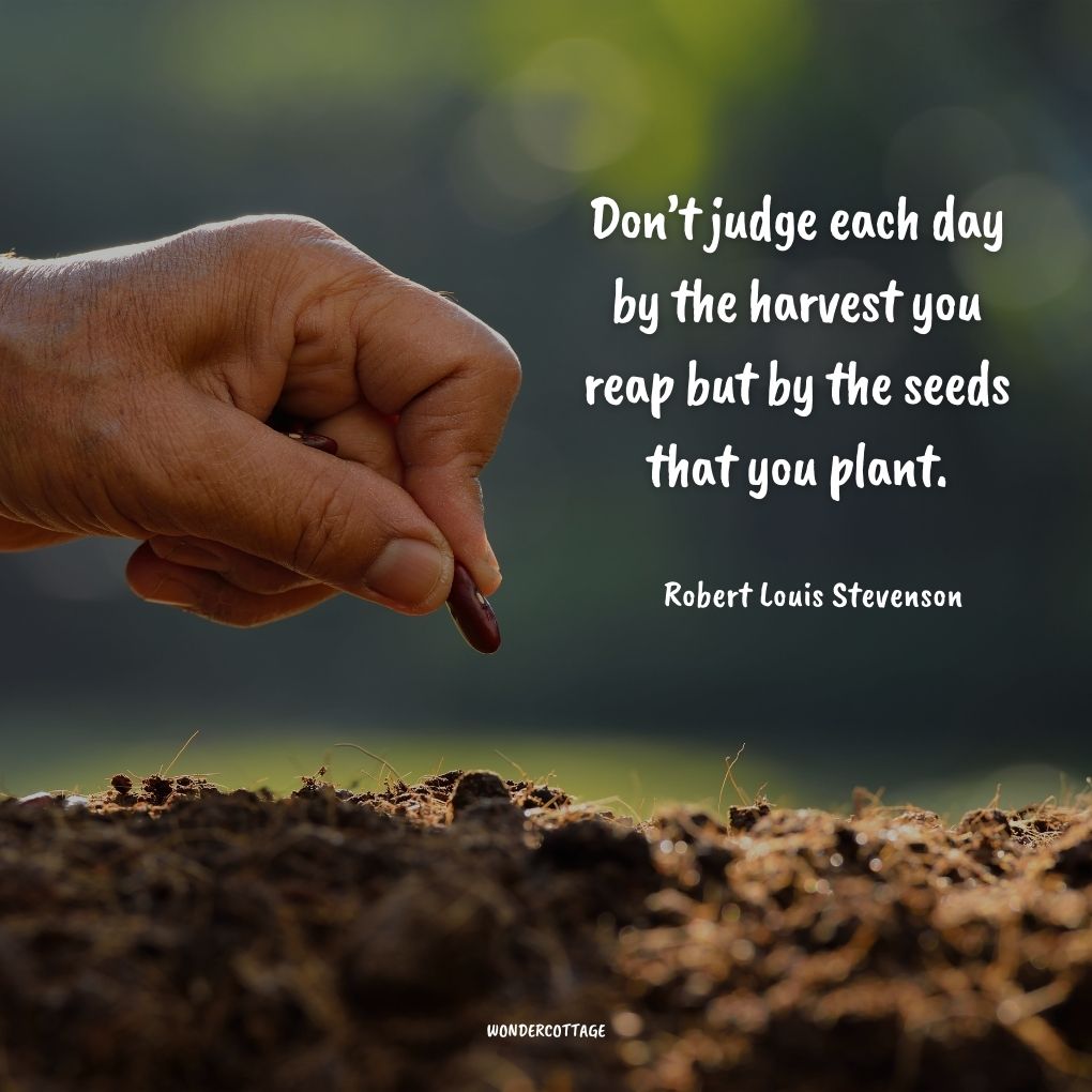 Don’t judge each day by the harvest you reap but by the seeds that you plant.
Robert Louis Stevenson