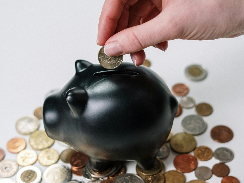 A piggybank for savings